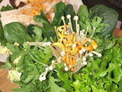 -掂档潮汕牛肉火锅(沈阳万象城店)
