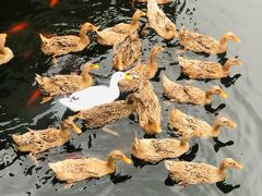 -西安汉城湖景区