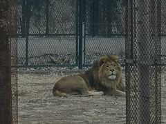 -秦皇岛野生动物园