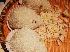 鬼鼠糯米糍-点都德·毕德寮