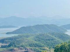 -黄贤森林公园