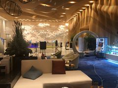 -苏州金鸡湖文博诺富特酒店