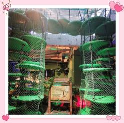 -恐龙探索乐园(磁器口店)