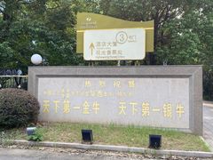 -华西村