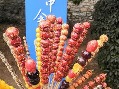 -前关湿地公园
