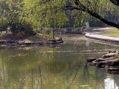 -瀛洲公园