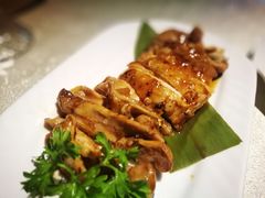 -禅猫日本料理