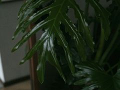 -不正咖啡(万达尊店)