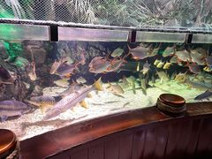 -太平洋海底世界