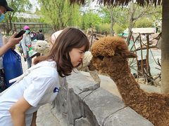 -青岛森林野生动物世界