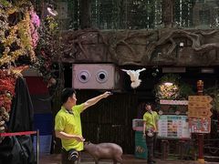 -正佳雨林生态植物园