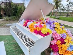 -杭州湾海上花田景区