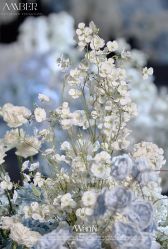 -琥珀婚礼策划AMBER WEDDING