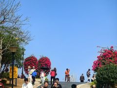 -东莞植物园