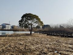 -梁鸿国家湿地公园