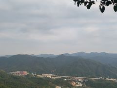 -皇鸽餐厅(龙塘店)