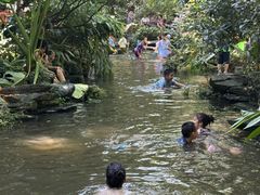 -成都市活水公园