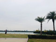 -白鹭洲公园