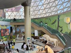 -陕西自然博物馆