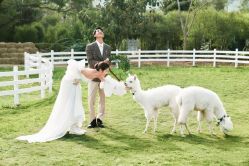 点击看大图 -太古映画婚纱摄影(天河店)