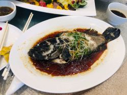 -苏州希尔顿酒店-宴会厅