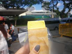 -詹爷爷乌节路街头冰淇淋