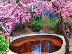 -悦隆庄温泉度假酒店