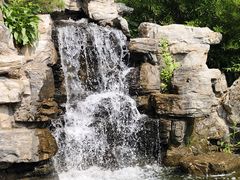 -南宫五洲植物乐园