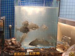 -小鱼故事海鲜饺子(立山店)