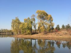 -东郊湿地公园