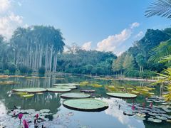 -中国科学院西双版纳热带植物园