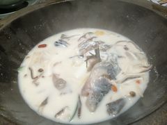 -鲜潭蒸汽石锅鱼(五道口购物中心店)