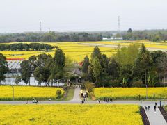 -中国天府农业博览园