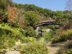 -云溪植物园