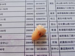 -上海市口腔医院(徐汇院区)