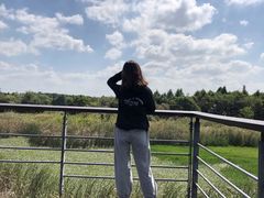 -贡湖湾湿地公园