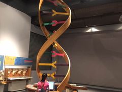 -香港科学馆
