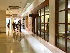 -复旦大学附属华山医院(浦东院区)