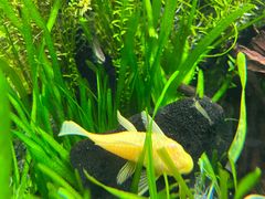-上海海洋水族馆
