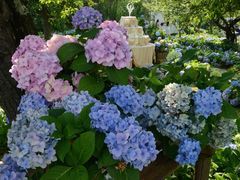 -名花谷生态庄园