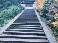 -虎跑公园