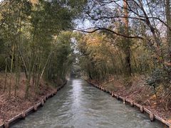 -同里国家湿地公园