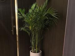 -小仙女采耳·按摩·SPA(深圳旗舰店)