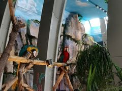 -杭州开元森泊度假乐园