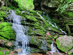 -五女峰国家森林公园