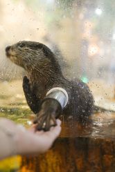 -Zoolung Zoolung动物主题公园(海信广场店)