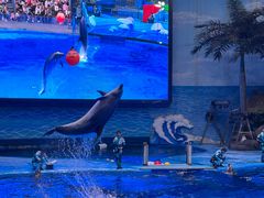 -海合安成都极地海洋公园