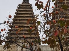 -北京石刻艺术博物馆(五塔寺)