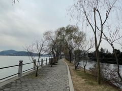 -无锡蠡湖国家湿地公园-蠡园
