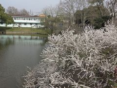 -太子山公园(园东路)